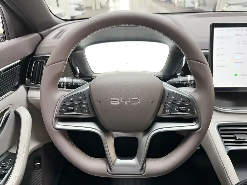 BYD PLUS New Energy — фото 9
