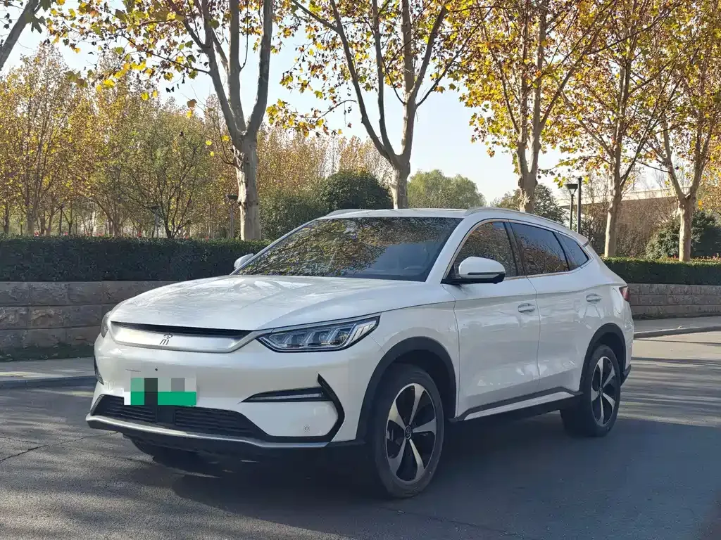 BYD PLUS New Energy 2023 из CN, фото 1