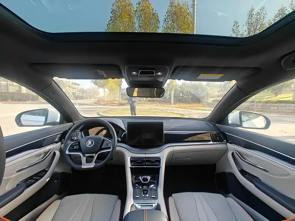 BYD PLUS New Energy 2023 из CN, фото 3
