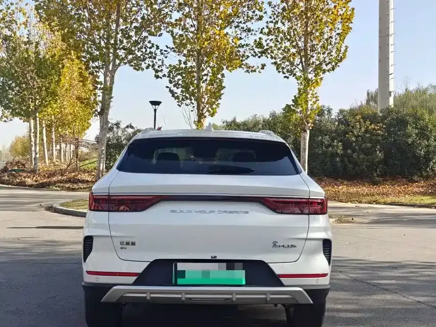 BYD PLUS New Energy 2023 из CN, фото 5