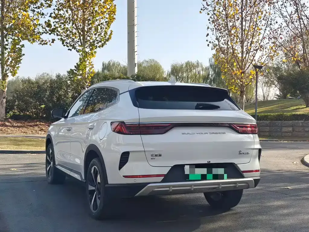 BYD PLUS New Energy 2023 из CN, фото 8