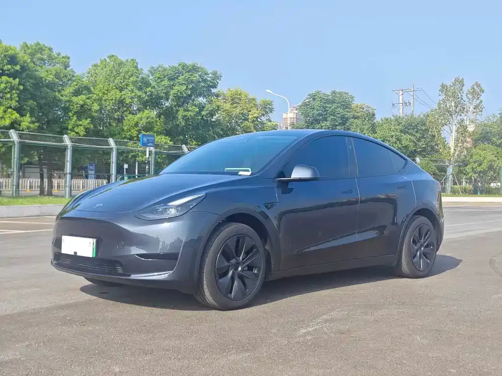 Tesla Model Y — фото 1