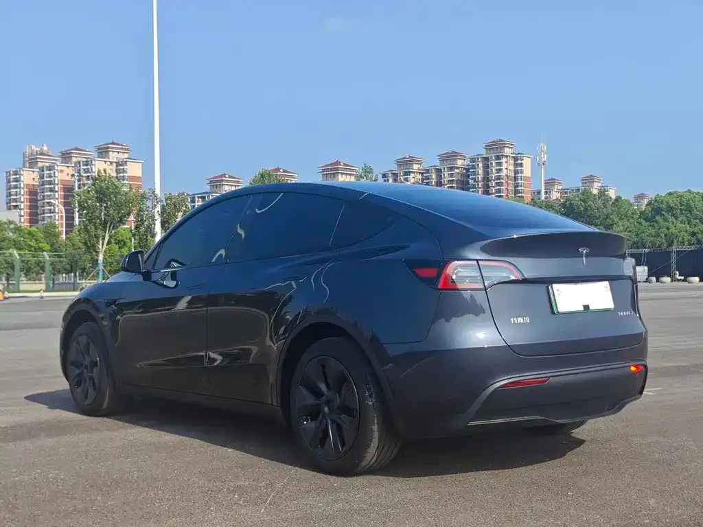 Tesla Model Y — фото 3