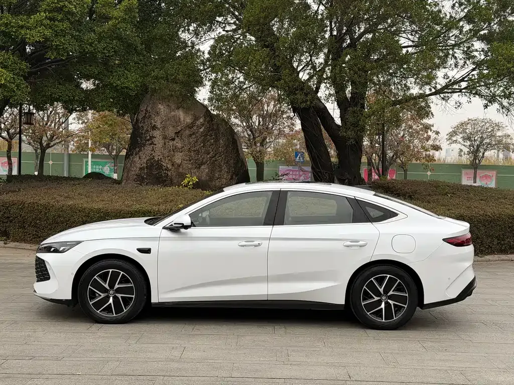 BYD Qin L — фото 4