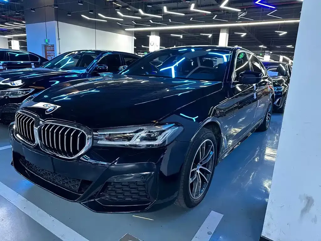 BMW 5 Series 2022 из CN, фото 1