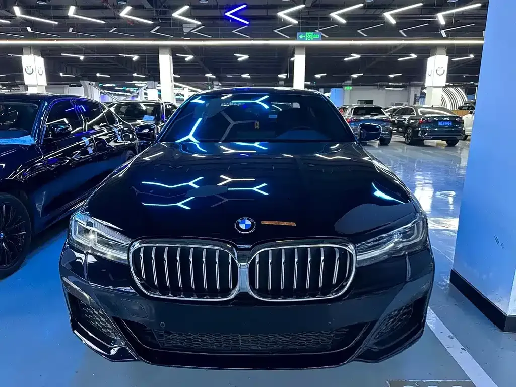 BMW 5 Series 2022 из CN, фото 9