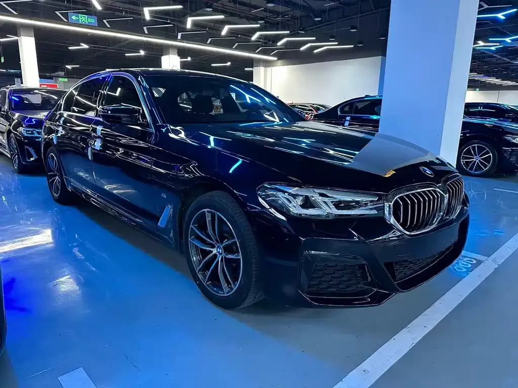 BMW 5 Series 2022 из CN, фото 4
