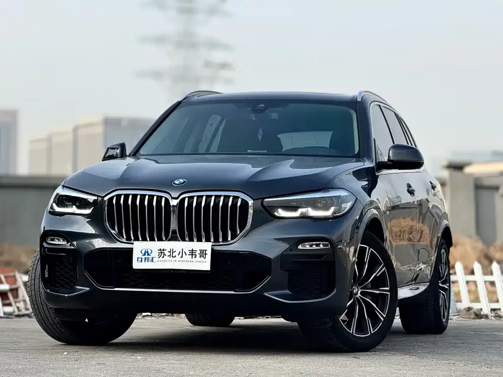 BMW X5 (Import) 2021 из CN, фото 5