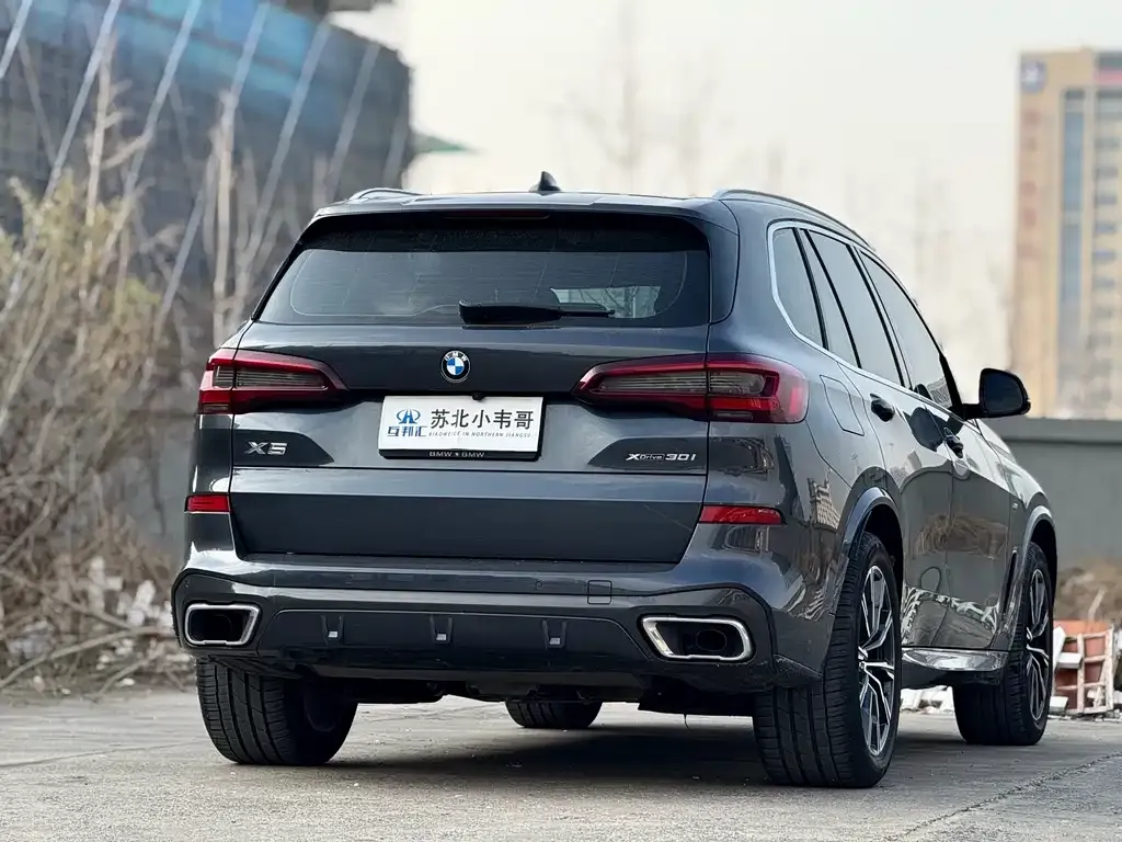 BMW X5 (Import) 2021 из CN, фото 9
