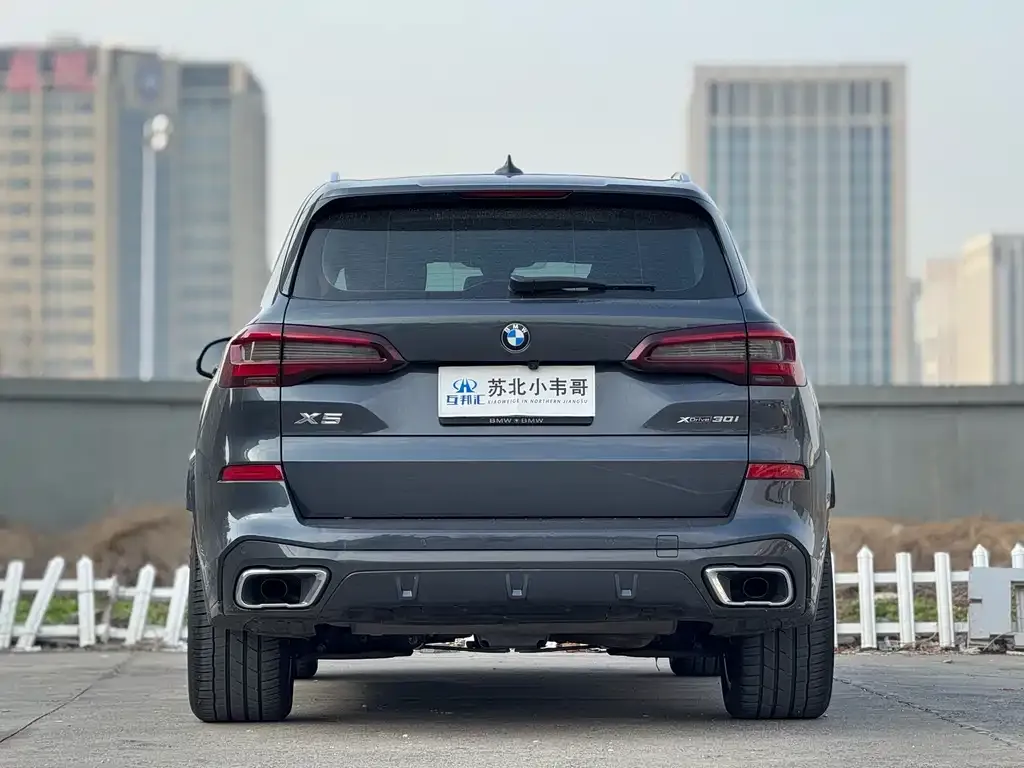 BMW X5 (Import) 2021 из CN, фото 8