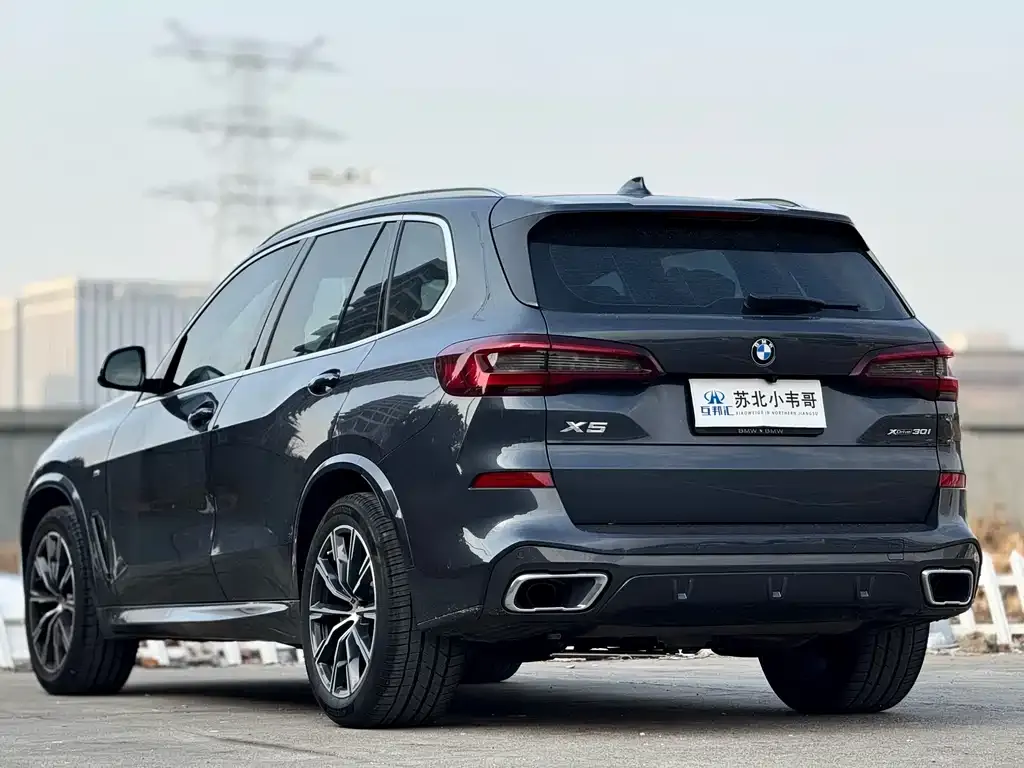 BMW X5 (Import) 2021 из CN, фото 6