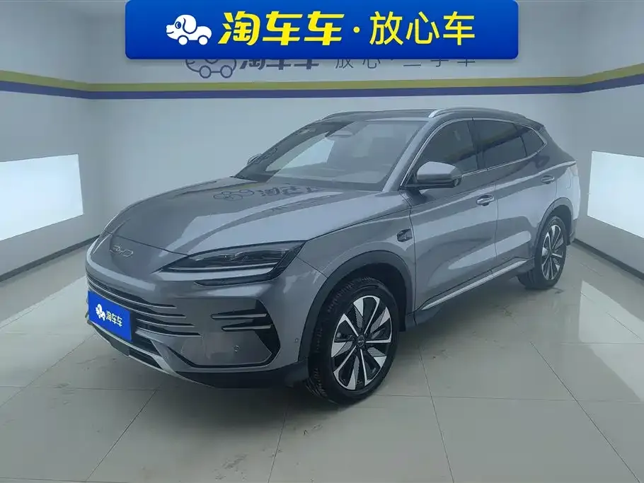 BYD PLUS New Energy 2025 из CN, фото 1