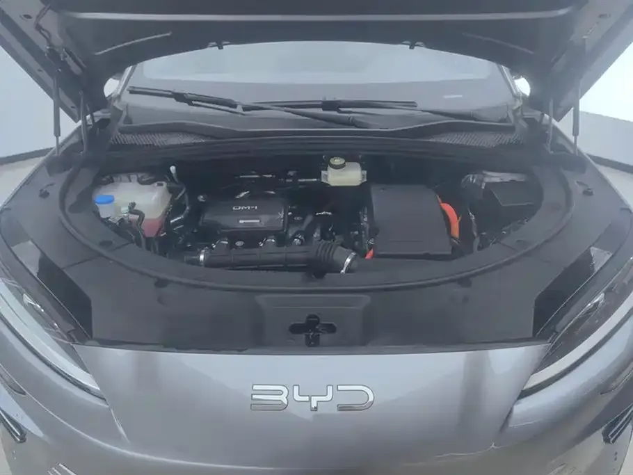 BYD PLUS New Energy 2025 из CN, фото 5