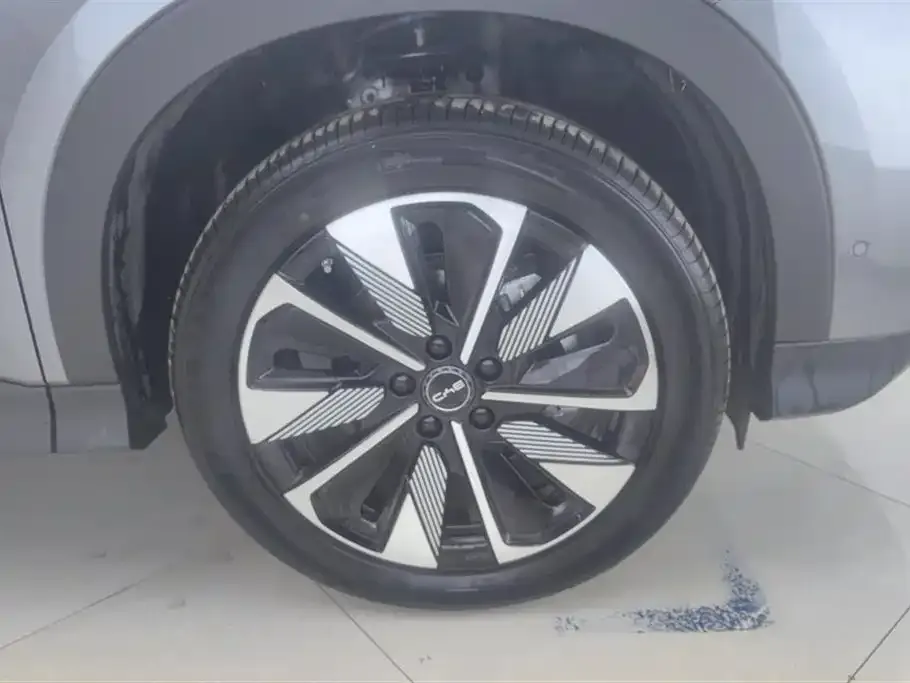 BYD PLUS New Energy 2025 из CN, фото 3