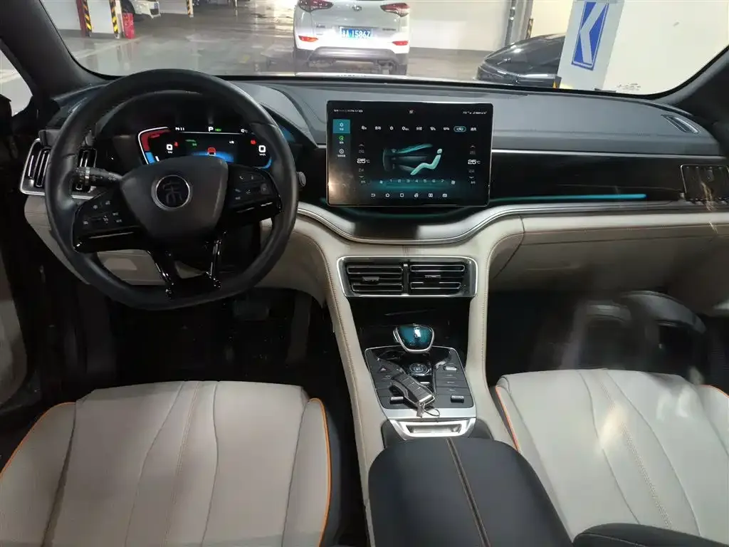BYD PLUS New Energy 2023 из CN, фото 10