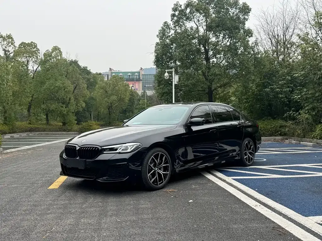 BMW 5 Series 2021 из CN, фото 1