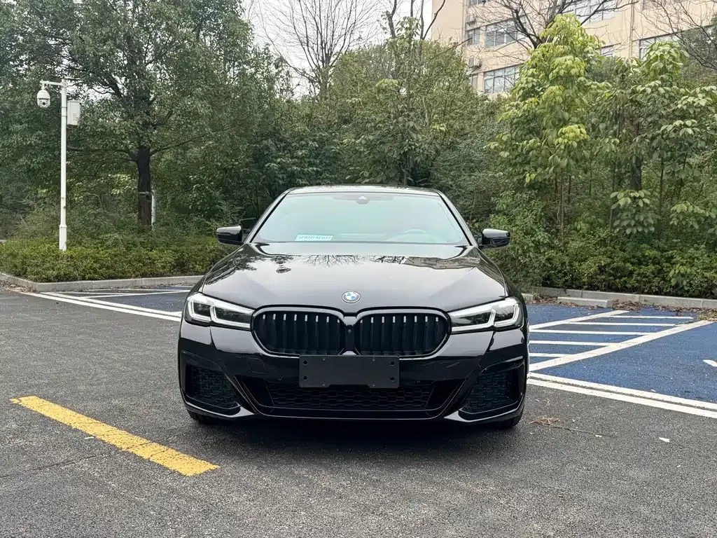 BMW 5 Series 2021 из CN, фото 10