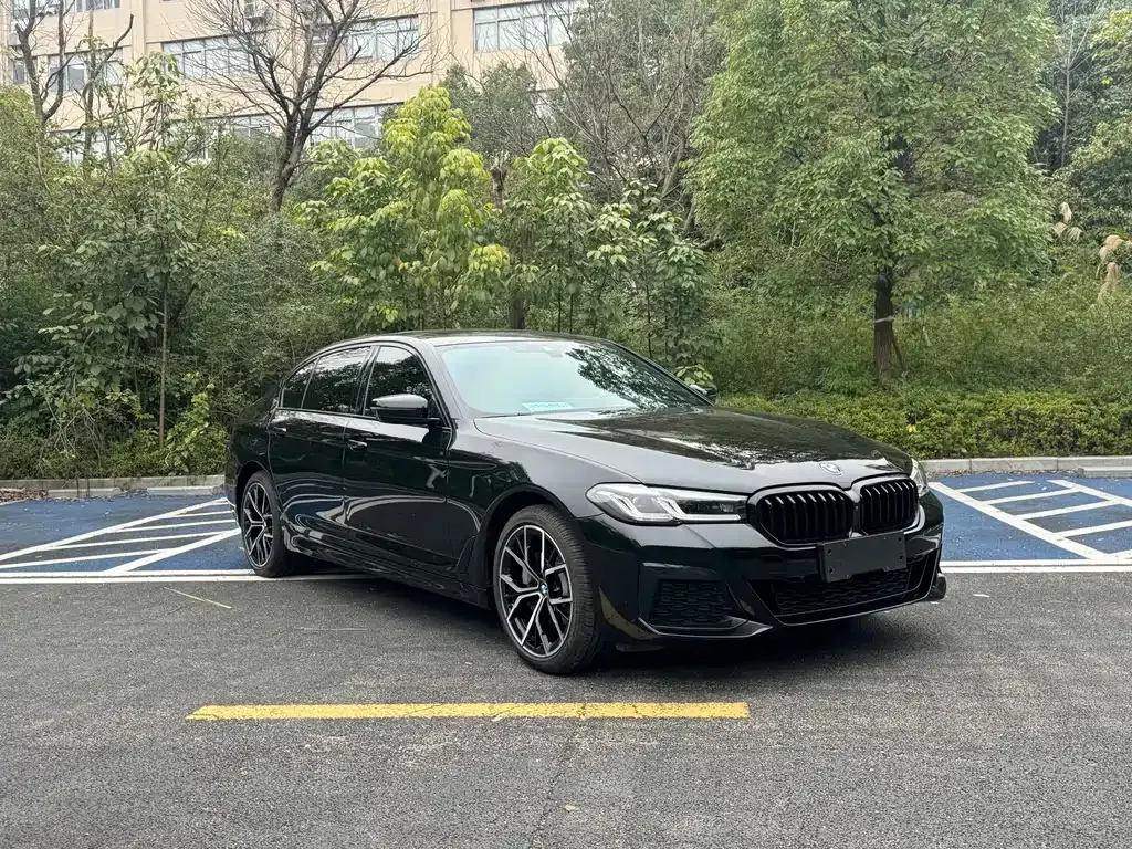 BMW 5 Series 2021 из CN, фото 5