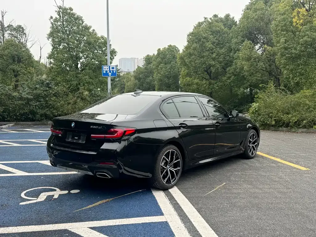 BMW 5 Series 2021 из CN, фото 9