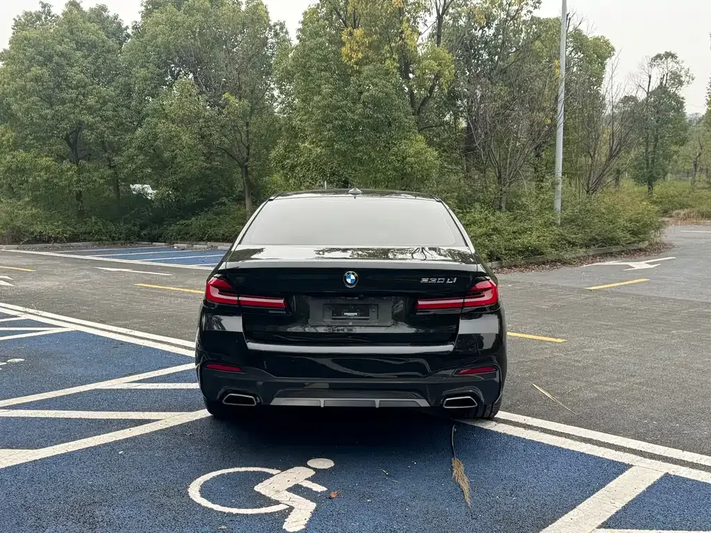 BMW 5 Series 2021 из CN, фото 7