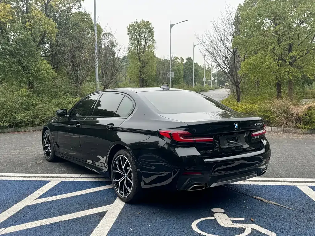 BMW 5 Series 2021 из CN, фото 6