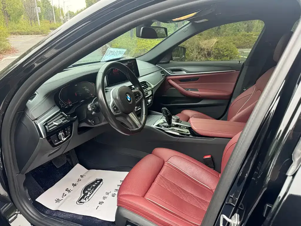BMW 5 Series 2021 из CN, фото 4