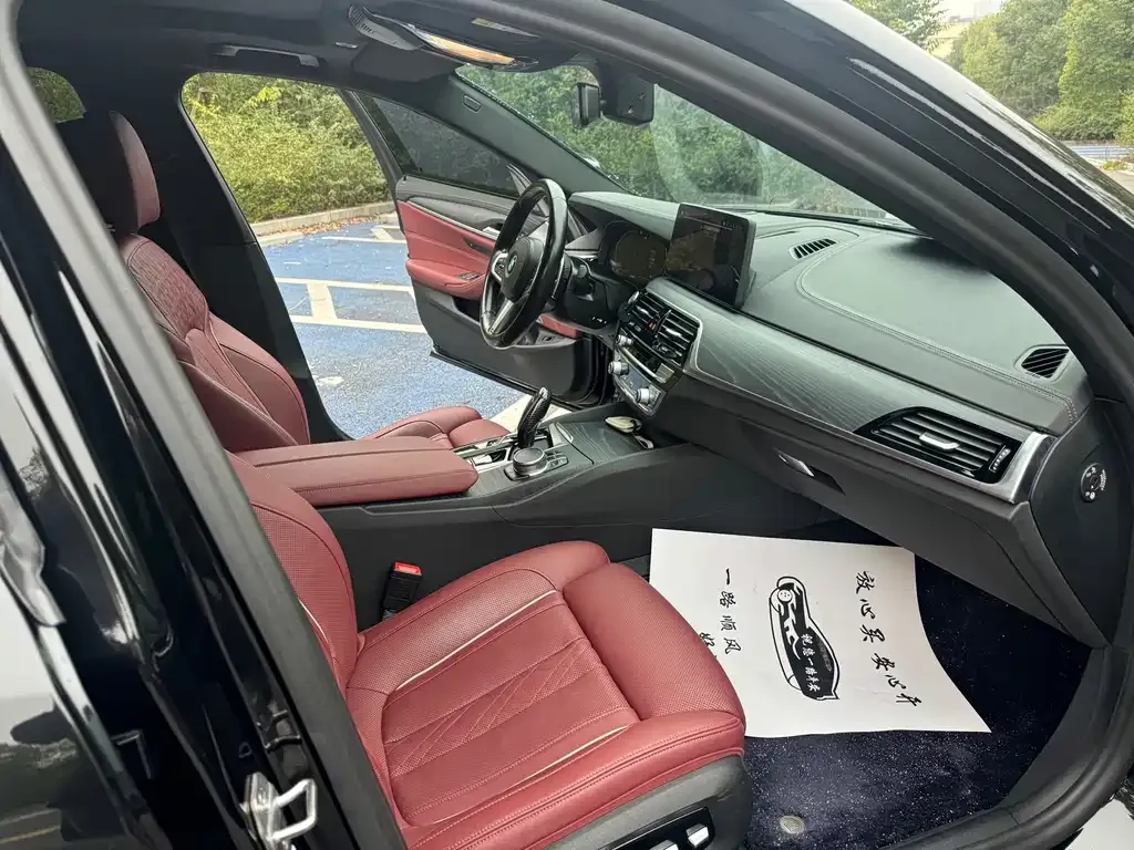 BMW 5 Series 2021 из CN, фото 3