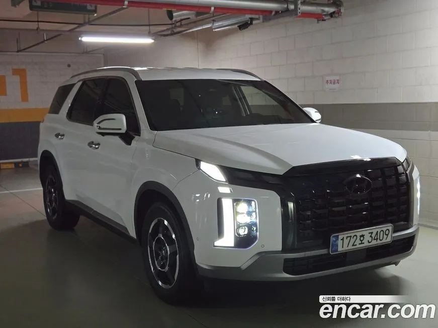 Hyundai Palisade — фото 10