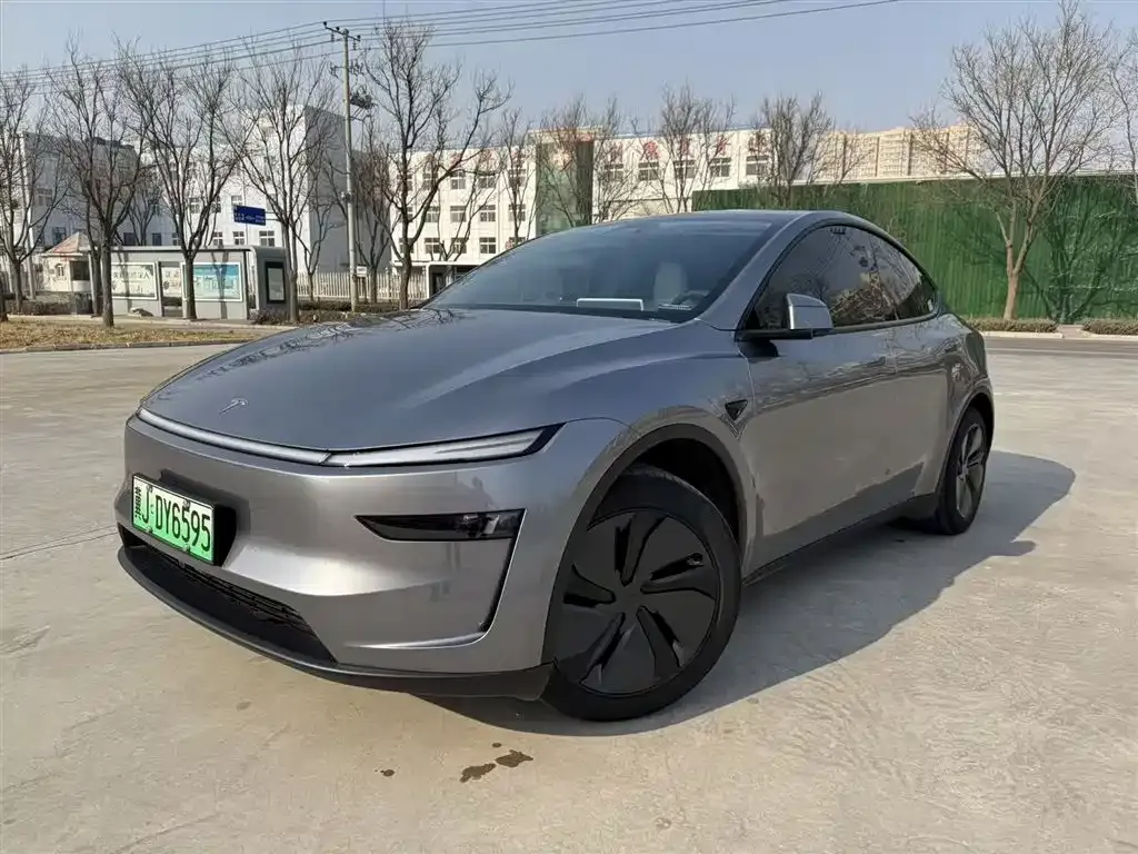 Tesla Model Y — фото 1