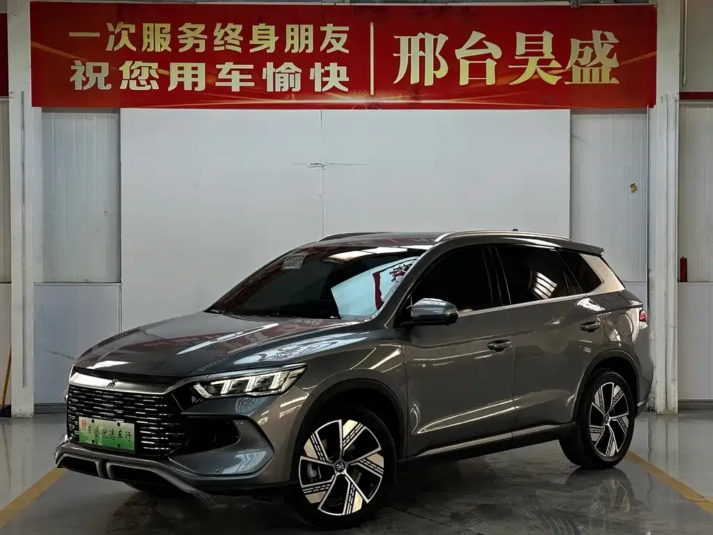 BYD Pro New Energy 2024 из CN, фото 1