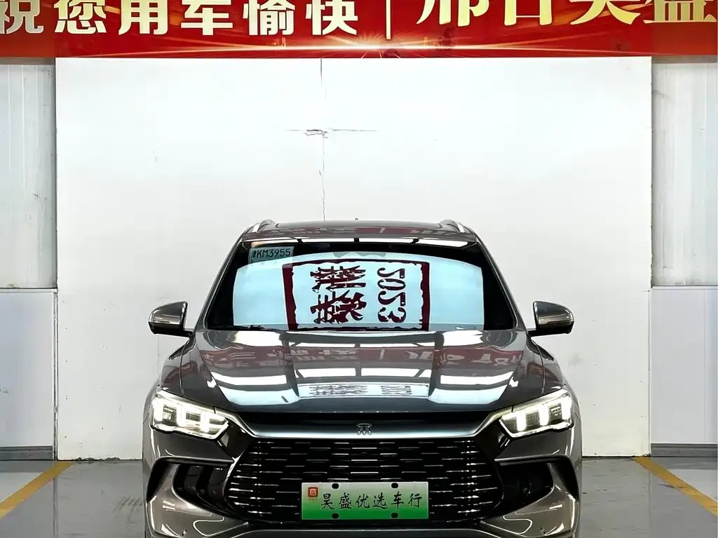 BYD Pro New Energy 2024 из CN, фото 2