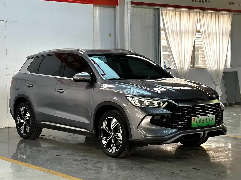 BYD Pro New Energy 2024 из CN, фото 3