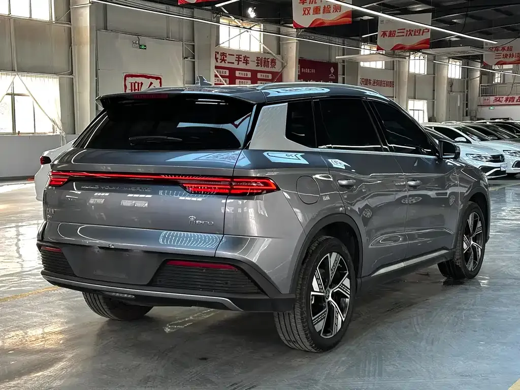 BYD Pro New Energy 2024 из CN, фото 9