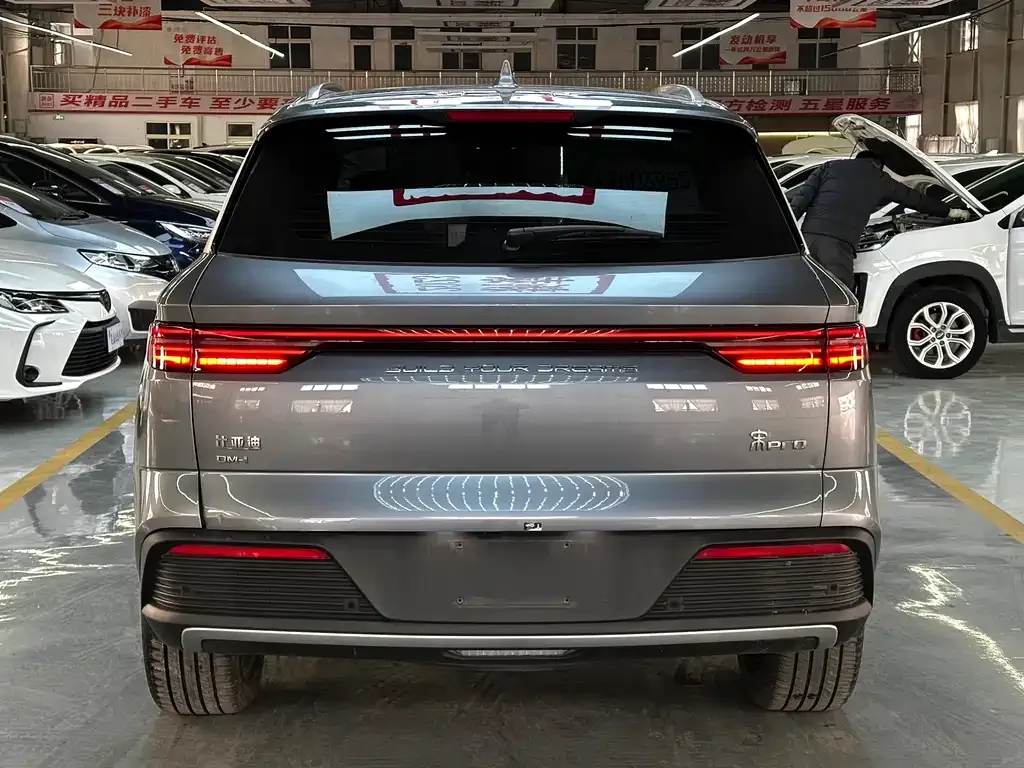 BYD Pro New Energy 2024 из CN, фото 8