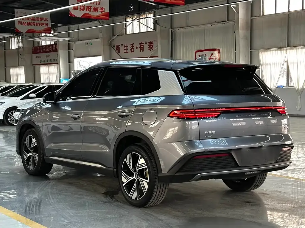 BYD Pro New Energy 2024 из CN, фото 6
