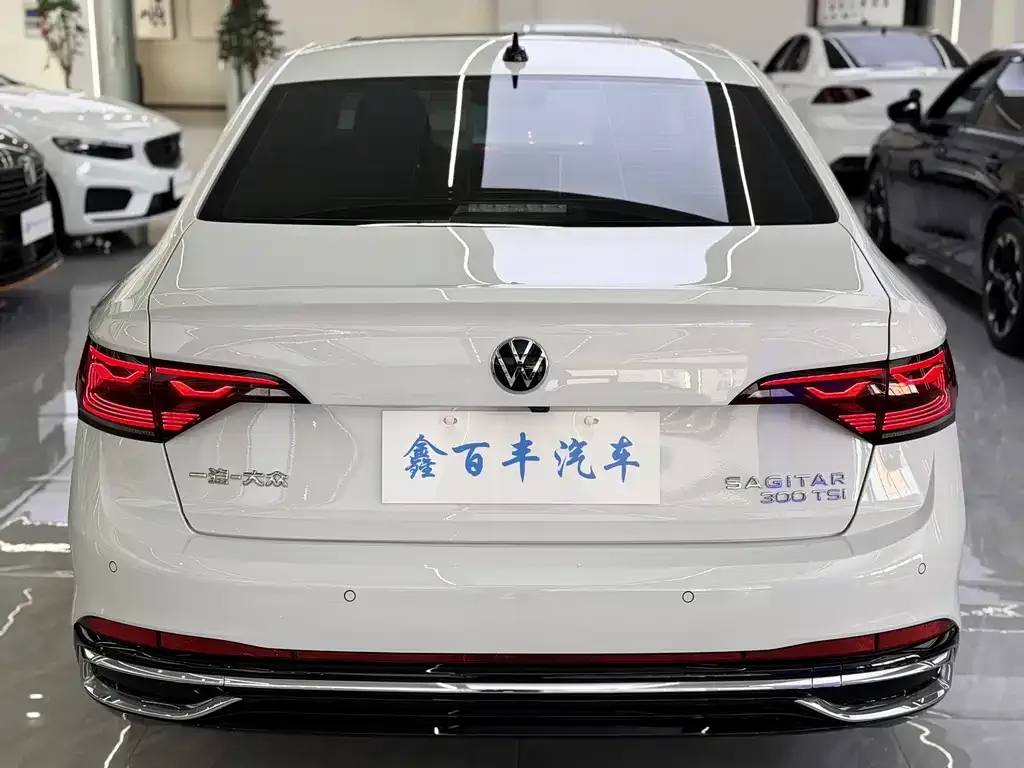 Volkswagen Sagitar 2024 из CN, фото 9