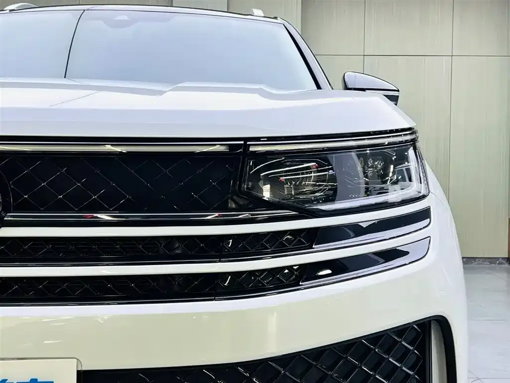 Volkswagen Tavendor 2023 из CN, фото 6