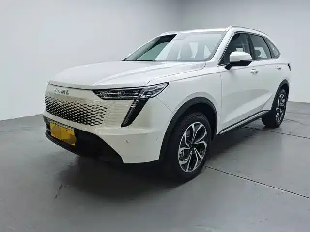 Haval Xiaolong MAX — фото 1