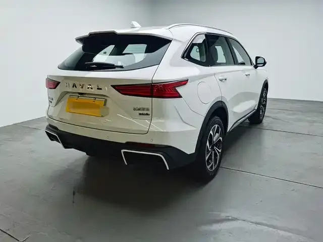 Haval Xiaolong MAX — фото 9
