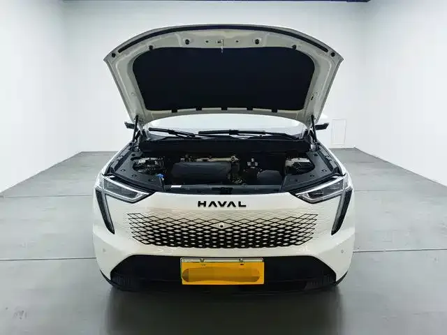 Haval Xiaolong MAX — фото 8