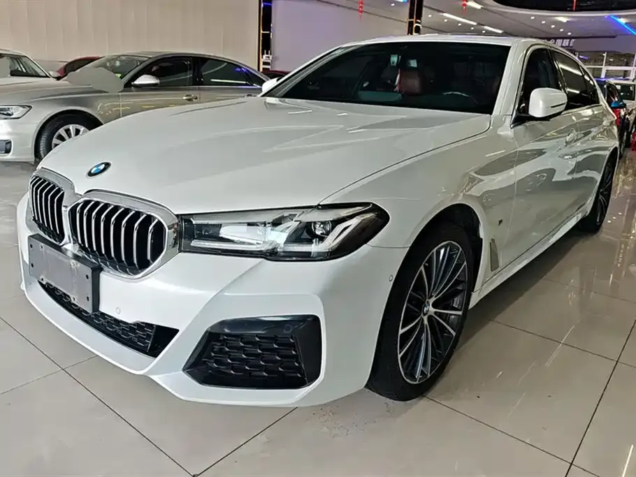 BMW 5 Series 2021 из CN, фото 1