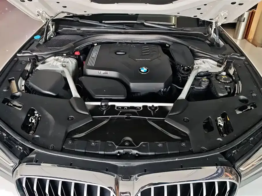 BMW 5 Series 2021 из CN, фото 9