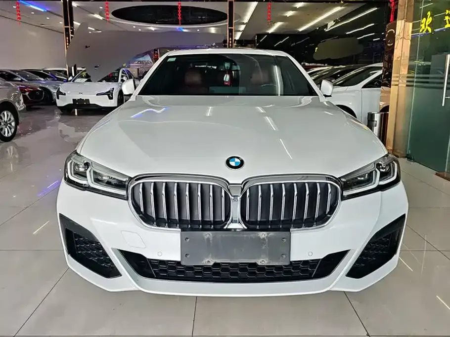 BMW 5 Series 2021 из CN, фото 10