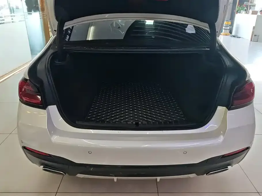 BMW 5 Series 2021 из CN, фото 7