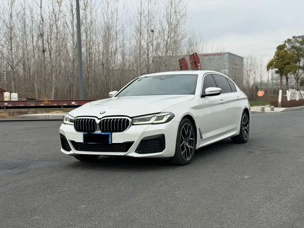 BMW 5 Series 2022 из CN, фото 1