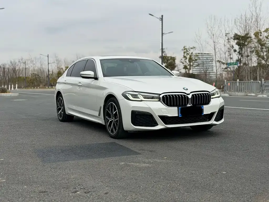 BMW 5 Series 2022 из CN, фото 9