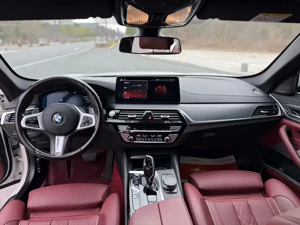 BMW 5 Series 2022 из CN, фото 8