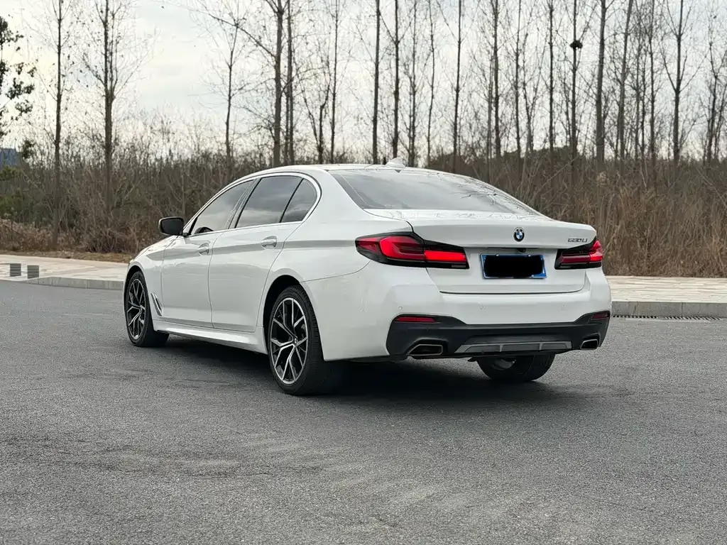 BMW 5 Series 2022 из CN, фото 7