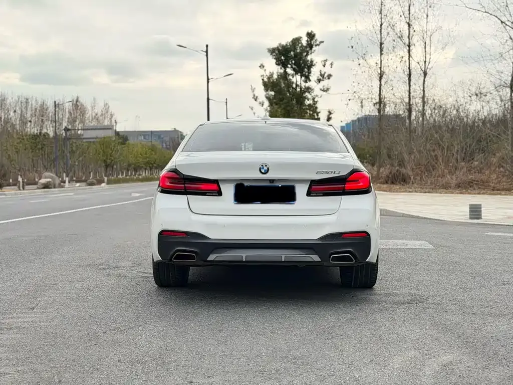 BMW 5 Series 2022 из CN, фото 5