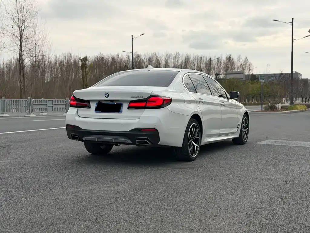BMW 5 Series 2022 из CN, фото 6